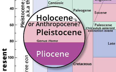 Late Paleozoic icehouse to Anthropocene epoch stratigraphical chart