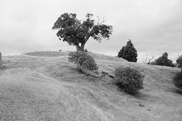 View from northeast Te Muri Crossing