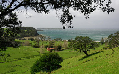 Captain Jones’ legacy complete at Te Muri